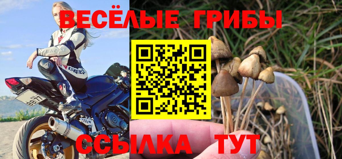 Топки  Псилоцибиновые грибы ЛСД  Вход с VPN 